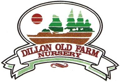 Dillon Old Farm Nursery