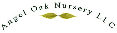 Angel Oak Nursery