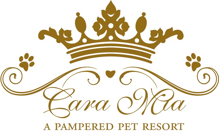 Cara Mia a Pampered Pet Resort