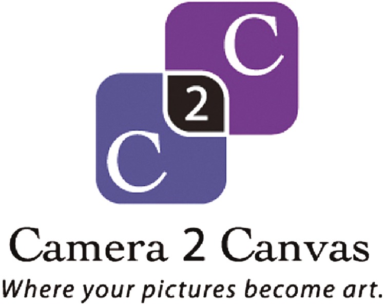 Camera 2 Canvas Art