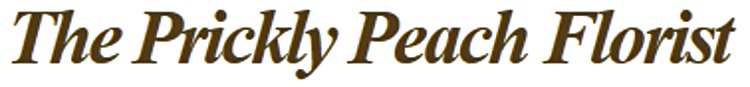The Prickly Peach