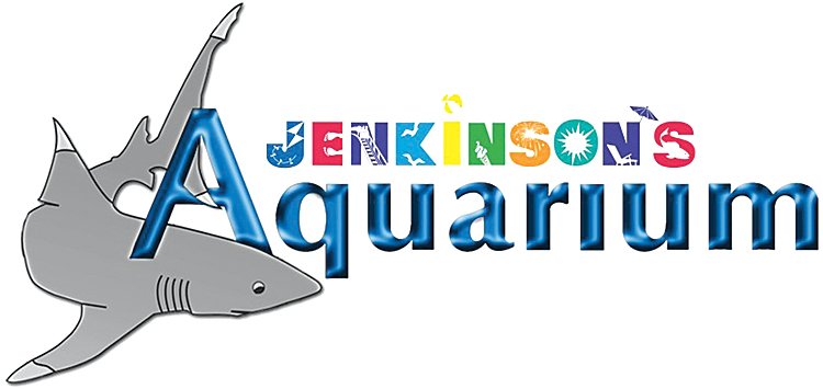 Jenkinson's Aquarium