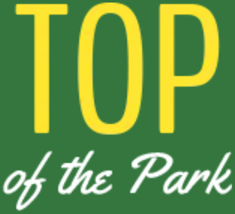 Top Of The Park