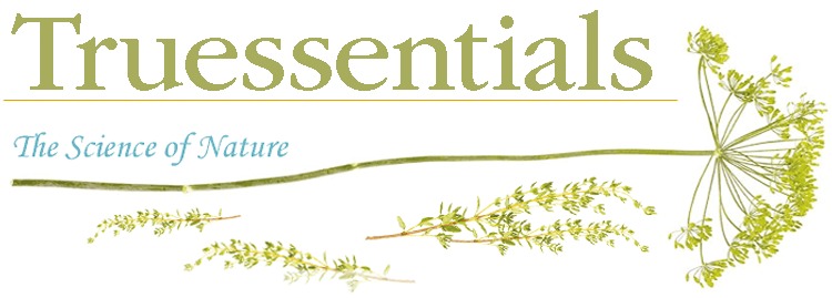 Truessentials