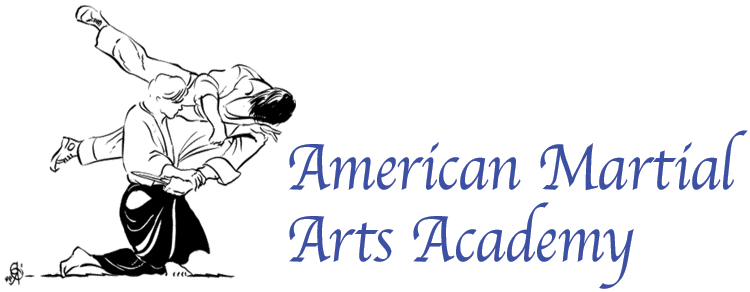 American Martial Arts Academy