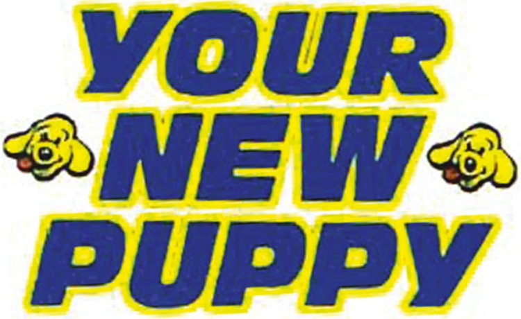 Your New Puppy