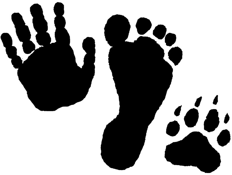 Mitts, Piggys & Paws